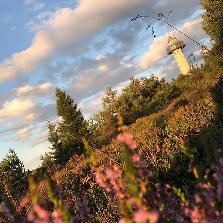Pistenblick Willingen (Upland)