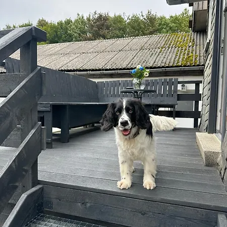 Pistenblick شقة *